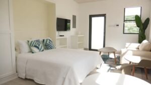 Aquarius Studio – King Murphy bed and living area